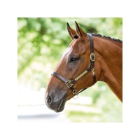 SHIRES BRIDLEWAY Кожаный недоуздок для лошади с именной табличкой, FULL, коричневый
